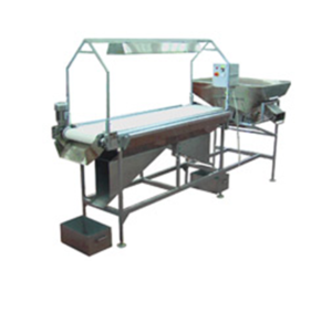 Special inspection conveyor for sunflower seeds and peanuts KSI-2200, – 4400